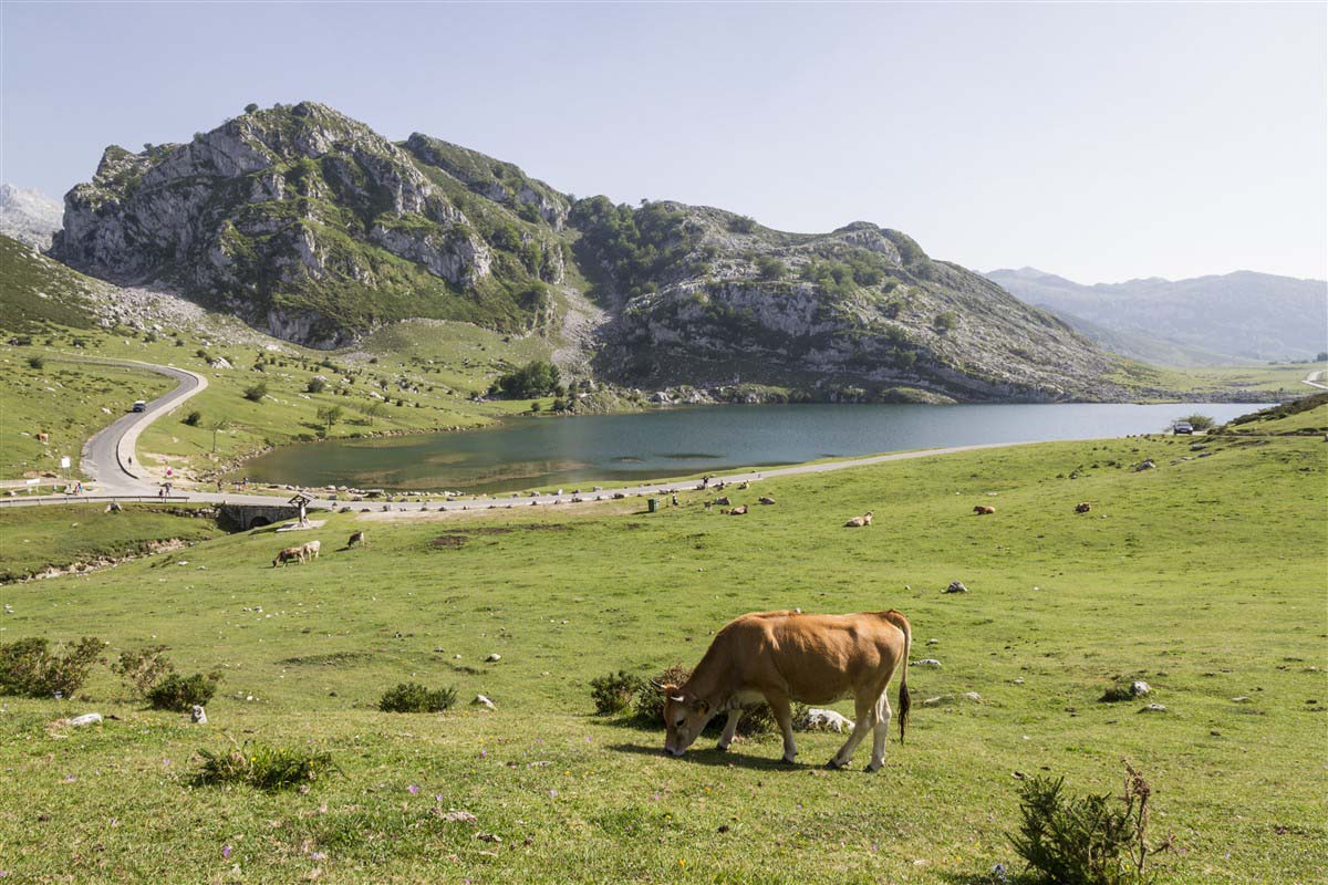 Picos de Europa National Park - Asturias - Spain