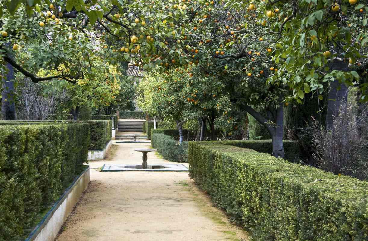 Garden - Spain