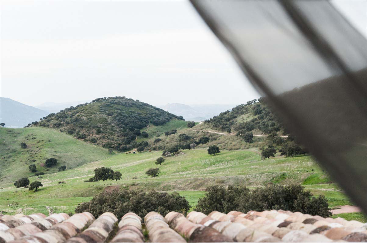 Countryside - Spain