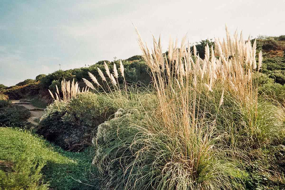 Natural Landscape - France