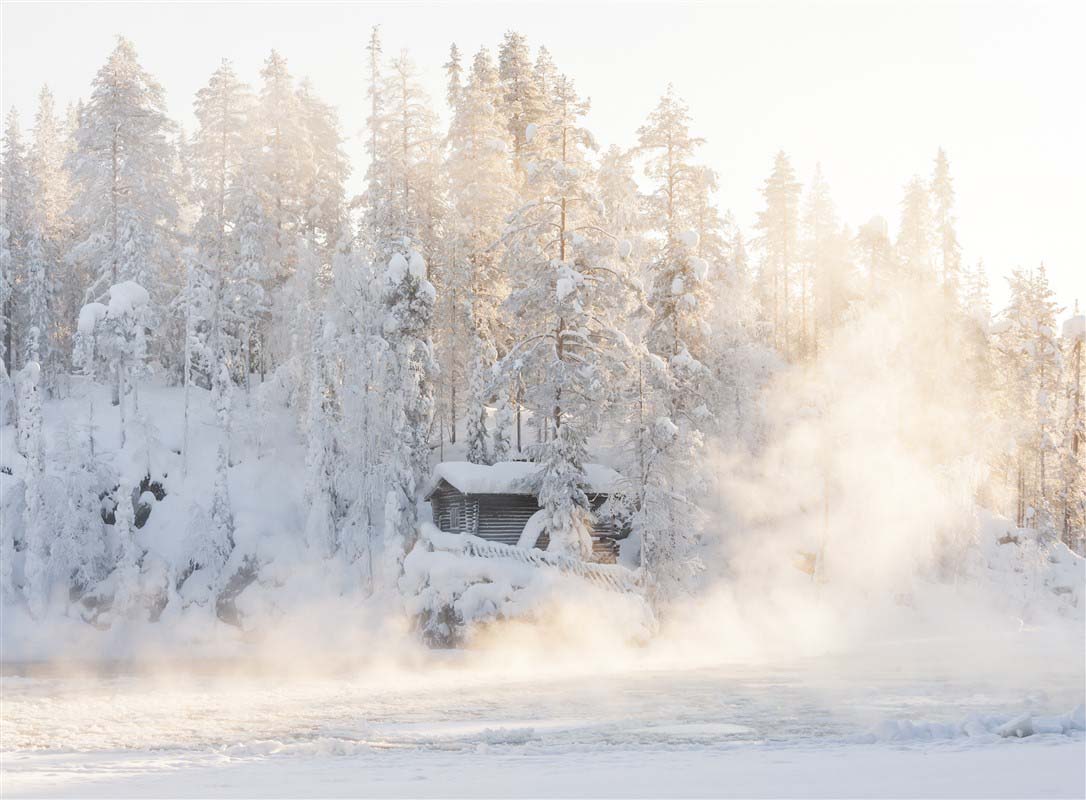 Snow - Lapland - Finland