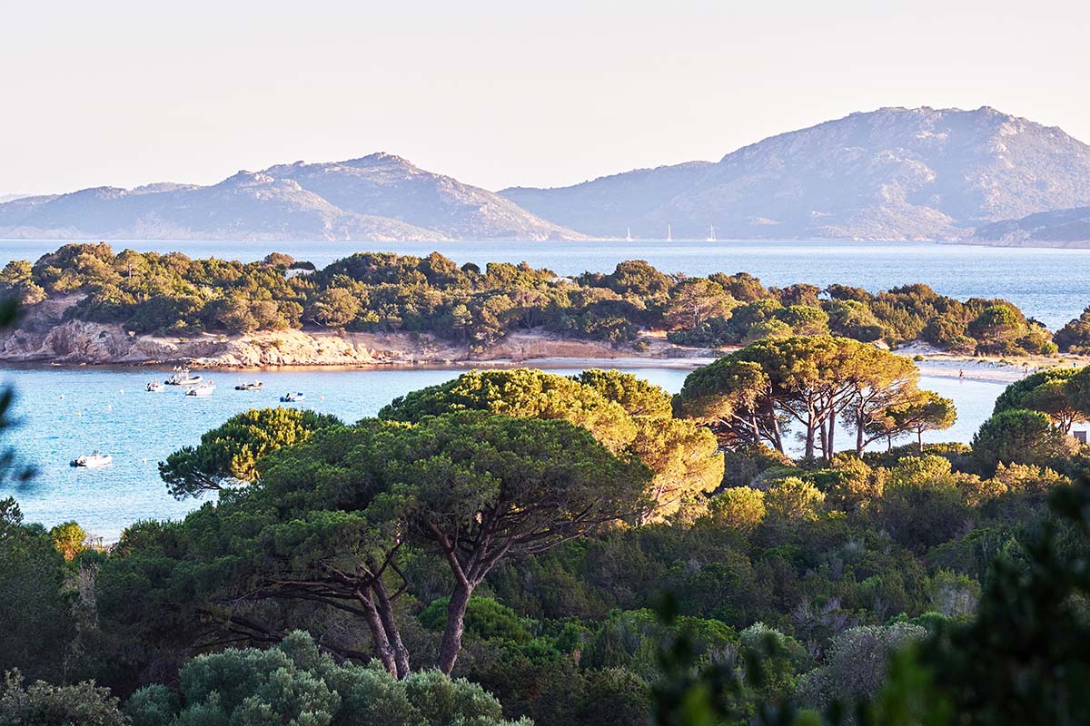 Natural landscape - France