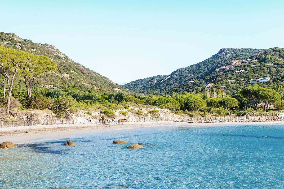 Natural landscape near Bonifacio - Corsica - France