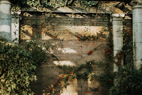 British garden - England