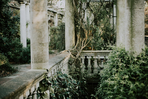 British garden - England
