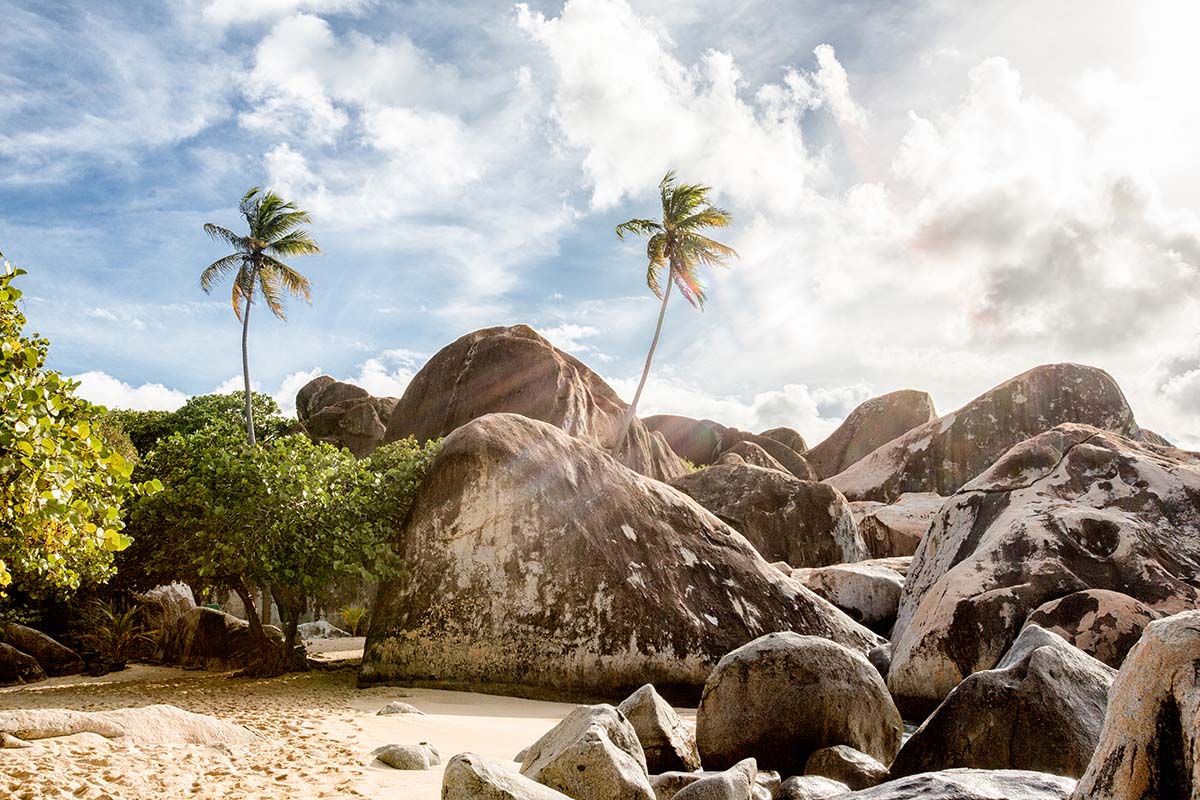 Palm trees, rocks and sand - Grenada