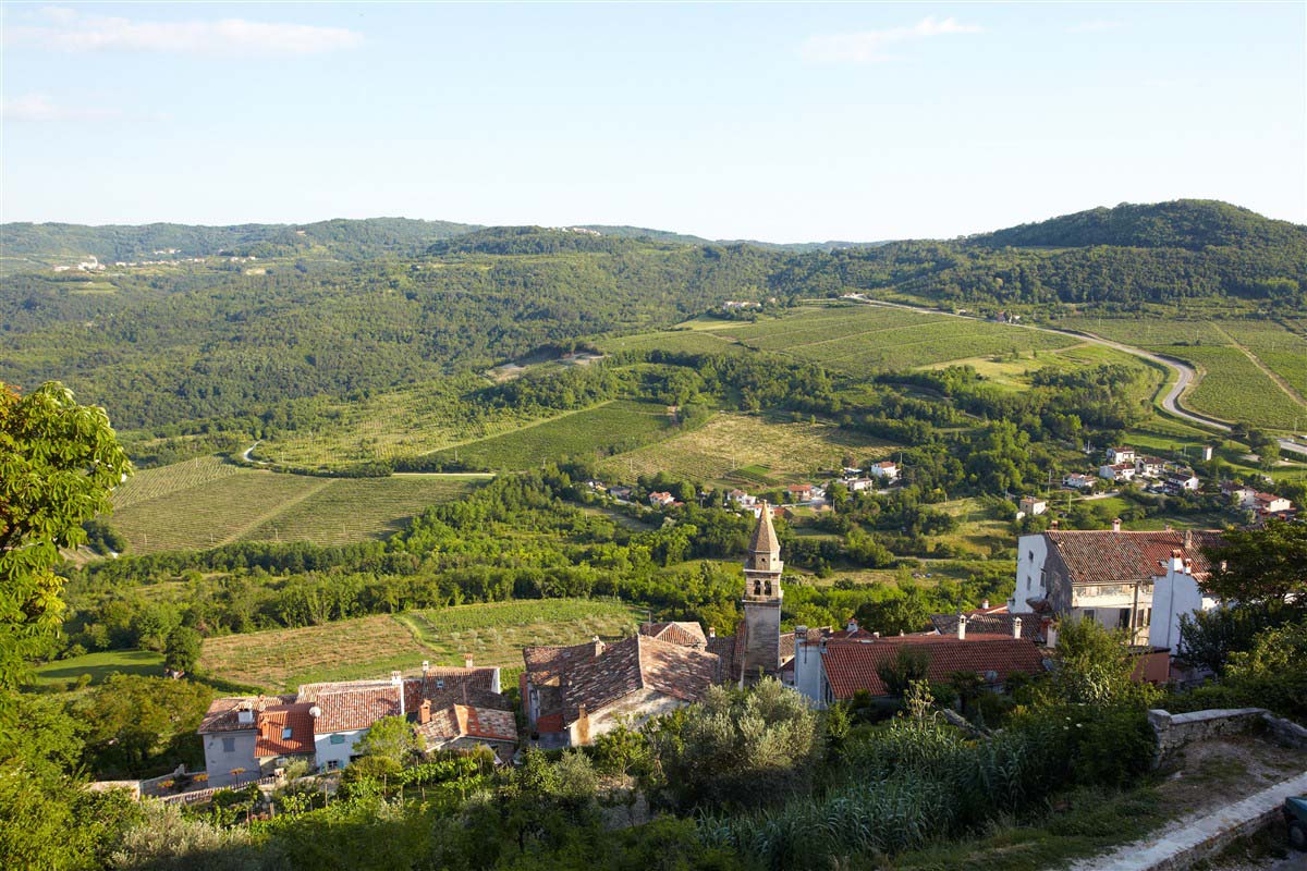 Motovun - Istrie - Croatie