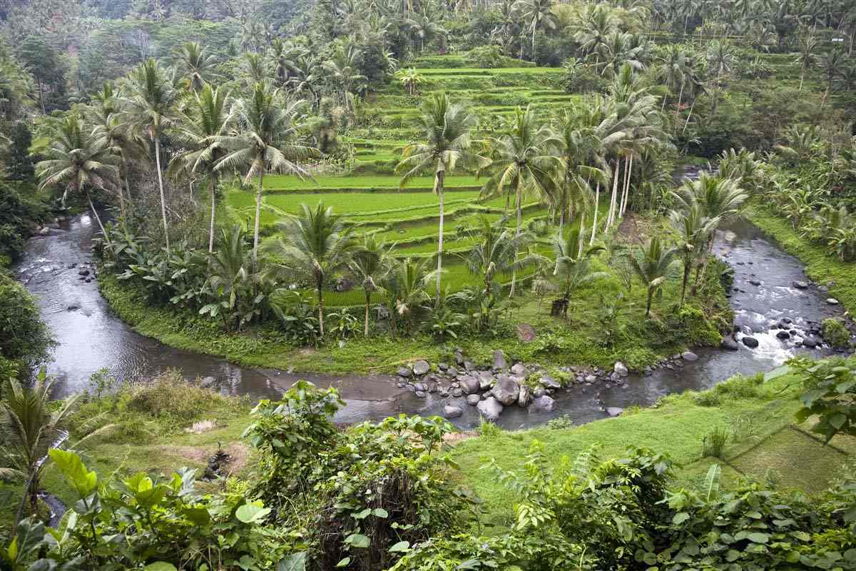 Ubud - Bali - Indonesia