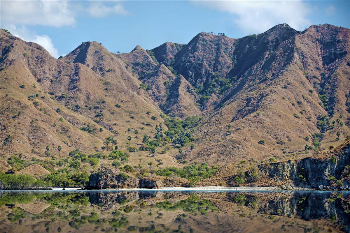 Sunda Islands - Komodo - Indonesia