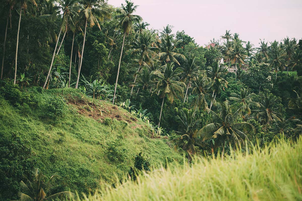 Bali - Indonésie