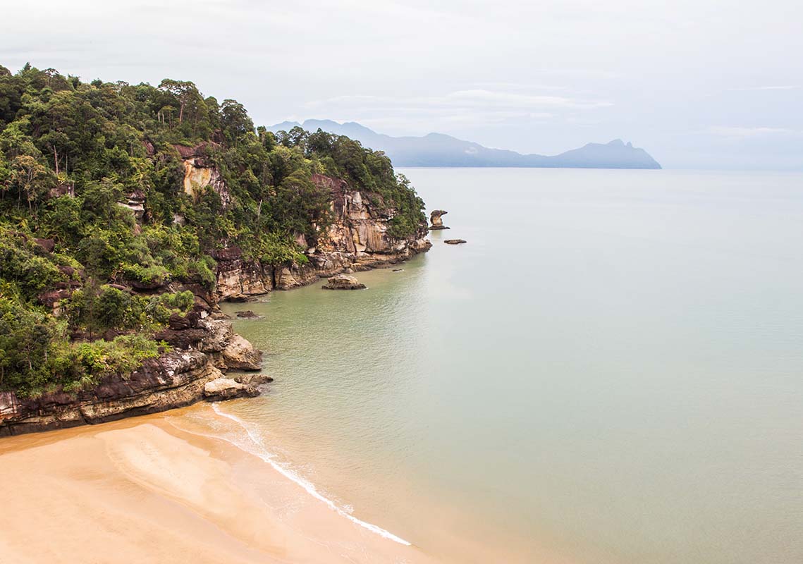 Mulu - Borneo - Malaysia