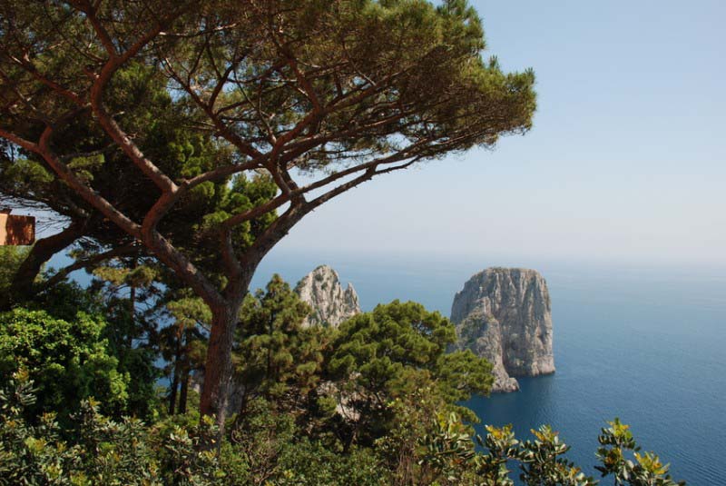 Ischia island and Capri - Italy