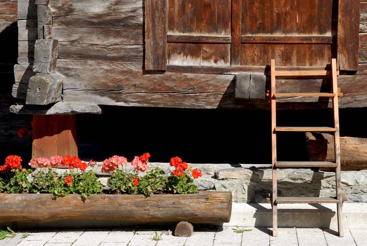 Flowers - Italy