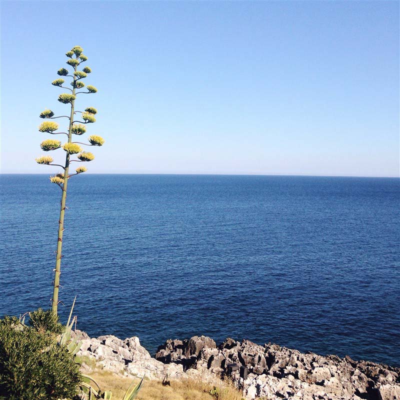 Sea - Puglia - Italy
