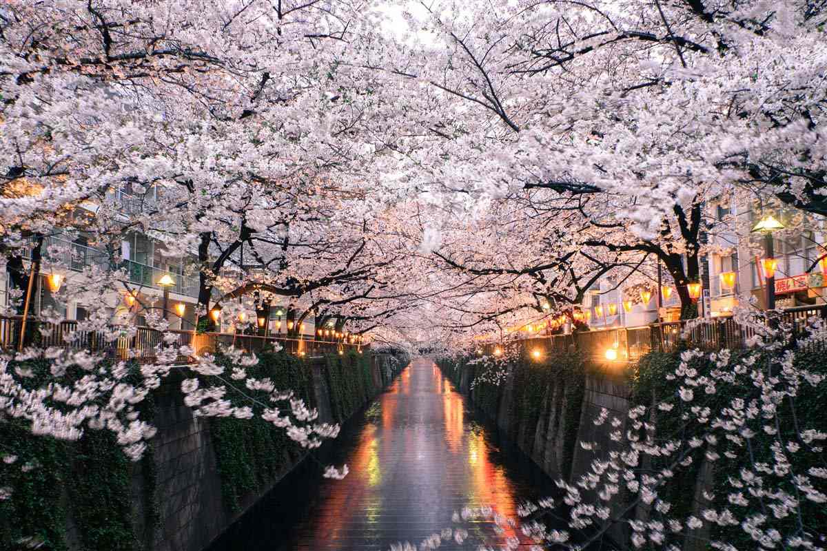 Tokyo - Japon
