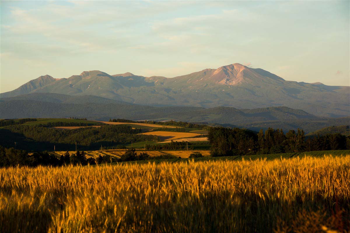 Hokkaido landscape