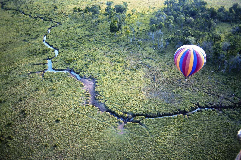 Réserve du Massai Mara - Kenya