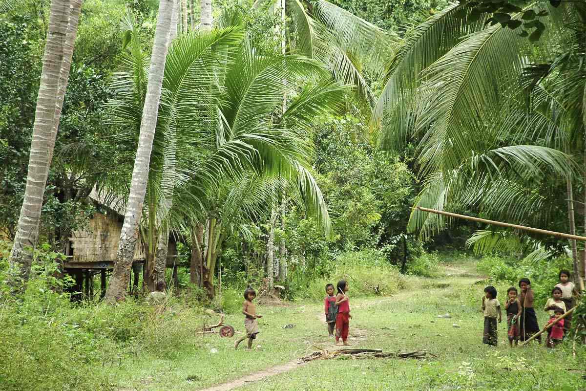 Kids playing in the jungle - Laos