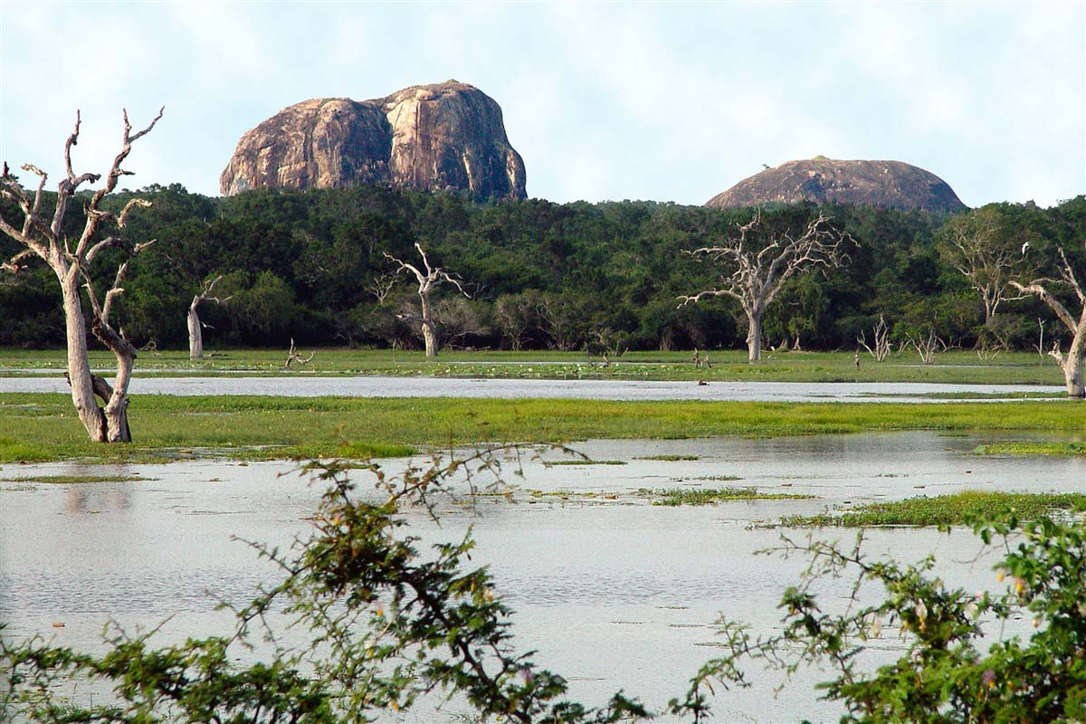 Yala National Park - Southern Province - Sri Lanka