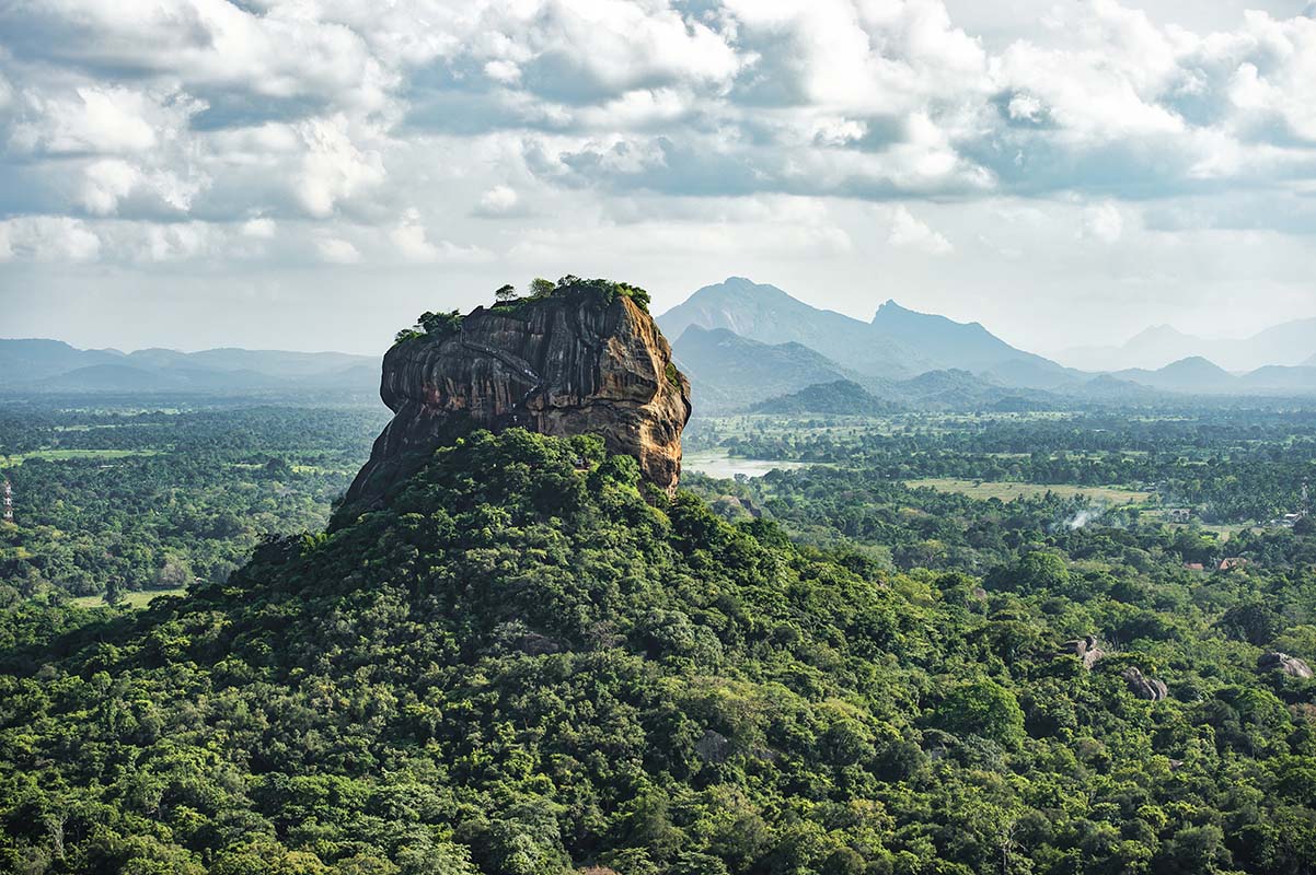 Forest and Mountain - Sri Lanka