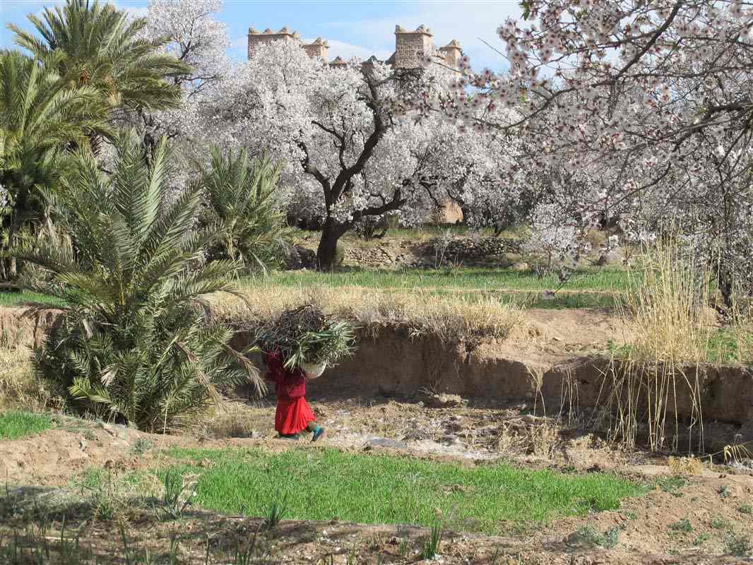 Ruins - Morocco