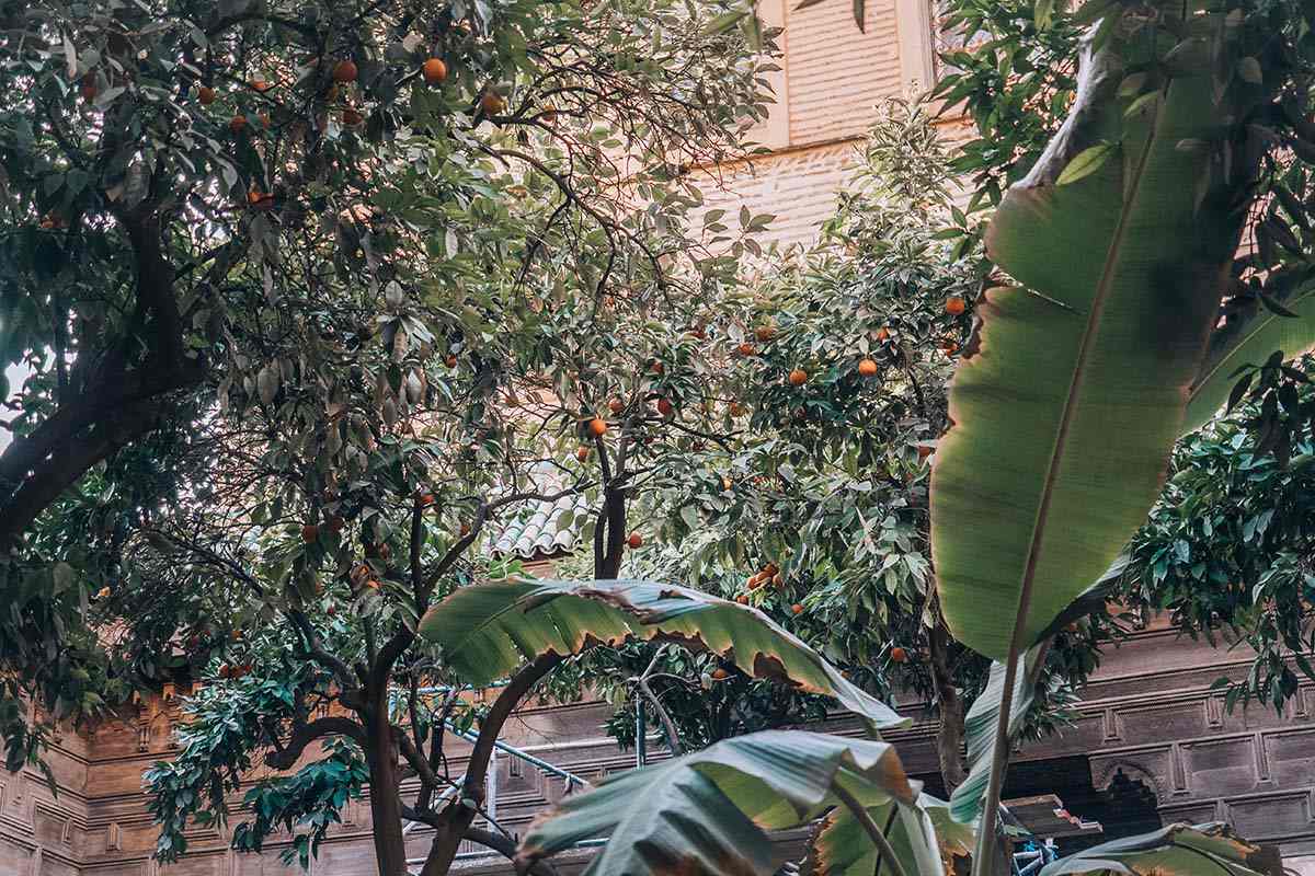 Garden in Marrakesh - Morocco