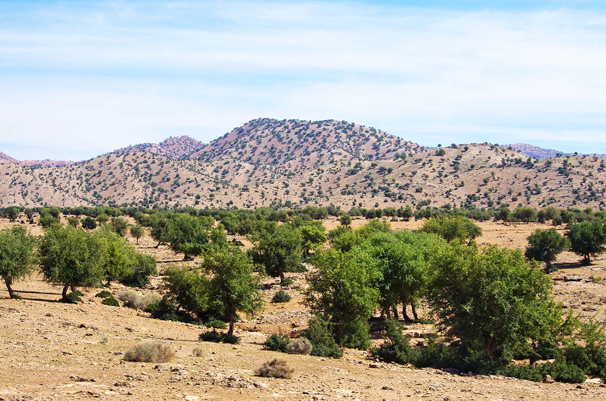 Hills - Morocco
