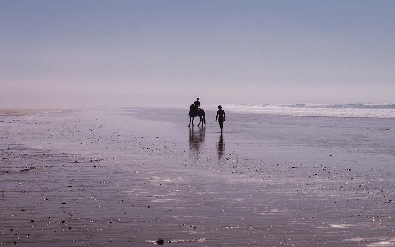 Horse riding on the beach - Morocco