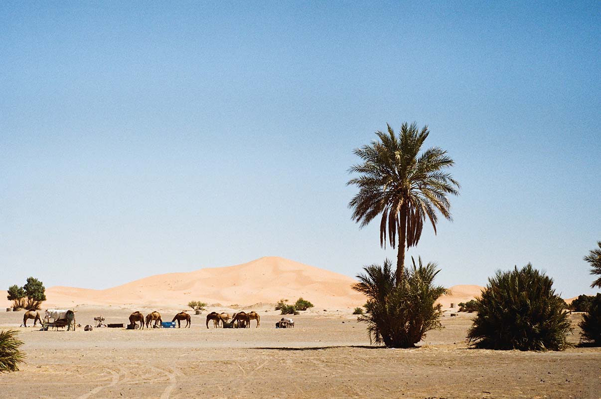 Desert - Morocco