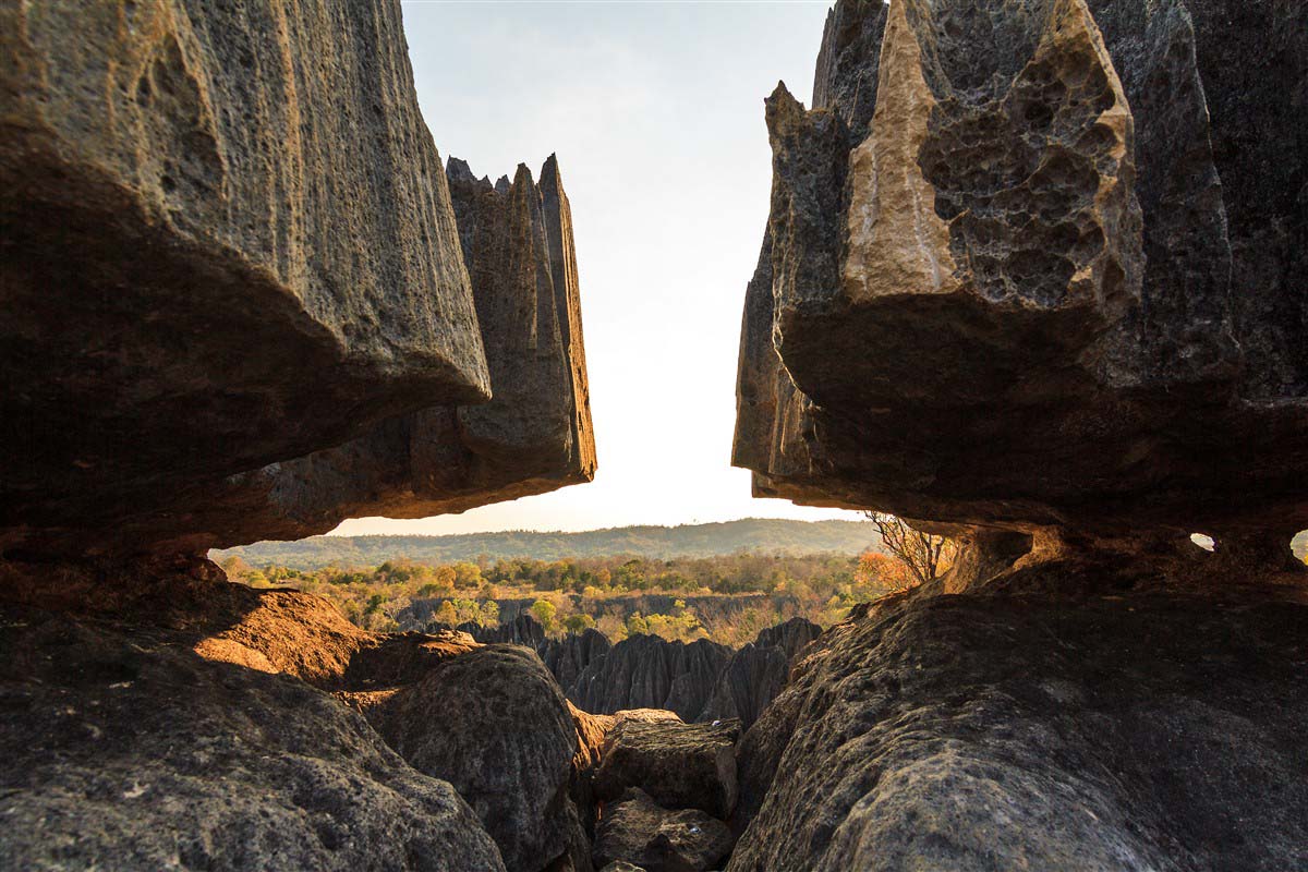 Tsingy de Bemaraha Strict Nature Reserve - Madagascar