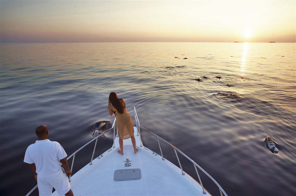 Dolphin watching - Soneva Fushi Resort & Spa - Kunfunadhoo - Maldives