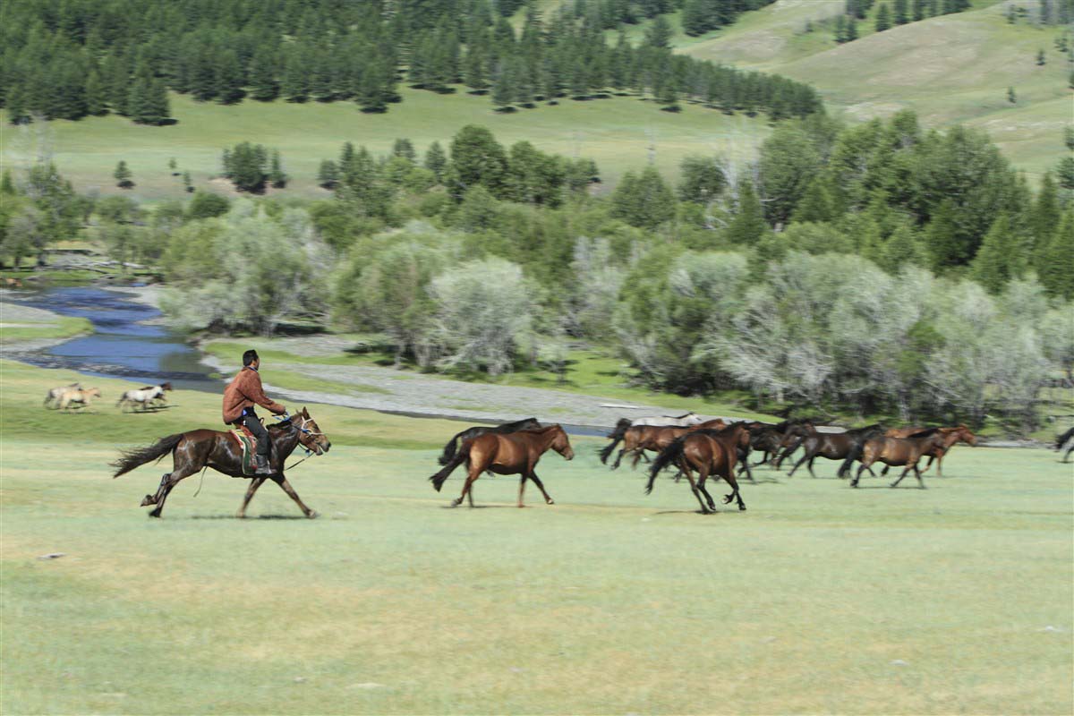 Orkhon Valley - Mongolia