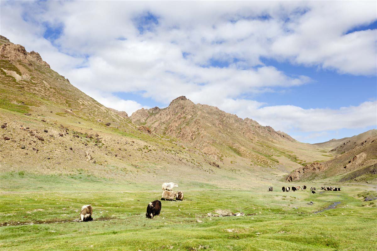 Yoliin am Canyon - Gobi Gurvan saikhan National Park - Mongolia