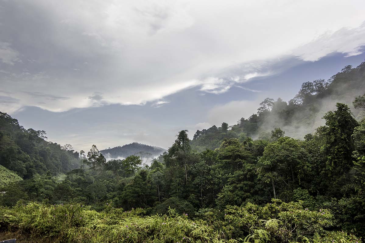 Mountains and forest - Malysia