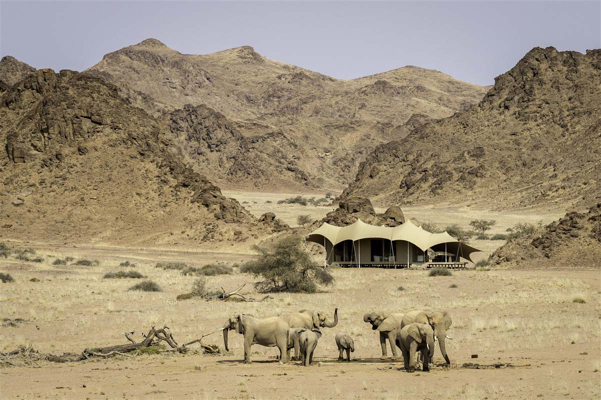 Elephants near Hoanib Skeleton Coast - Namibie