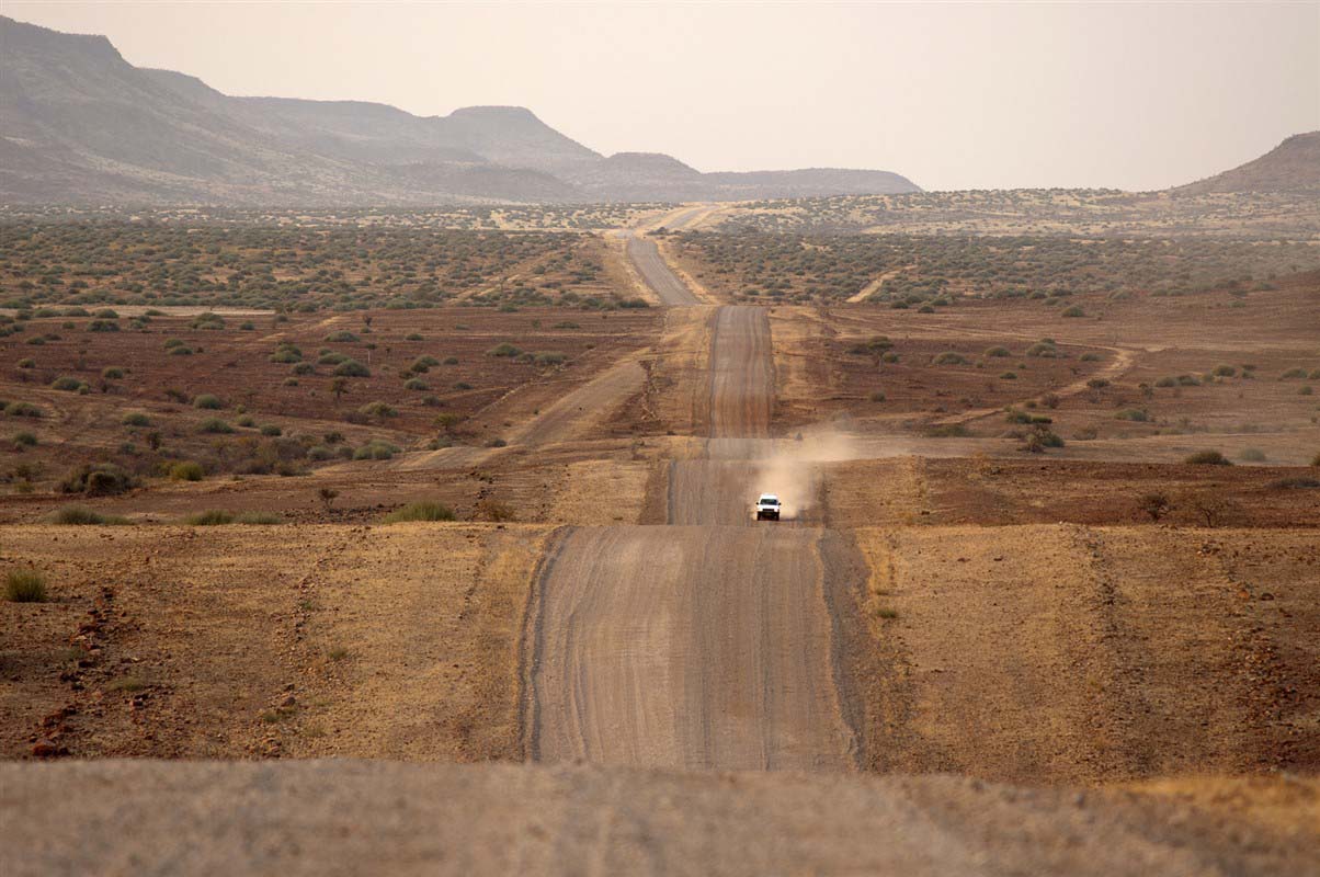Bush in Namibia