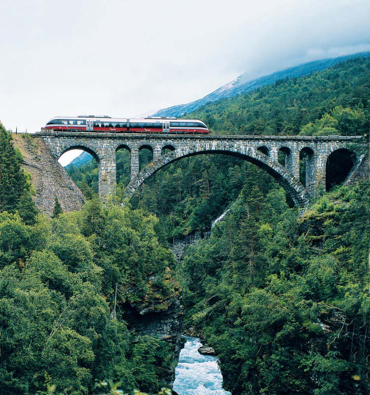 Train Oslo / Bergen - Norway