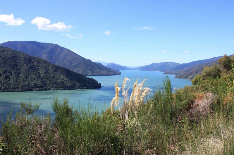 Marlborough Sounds - New Zealand