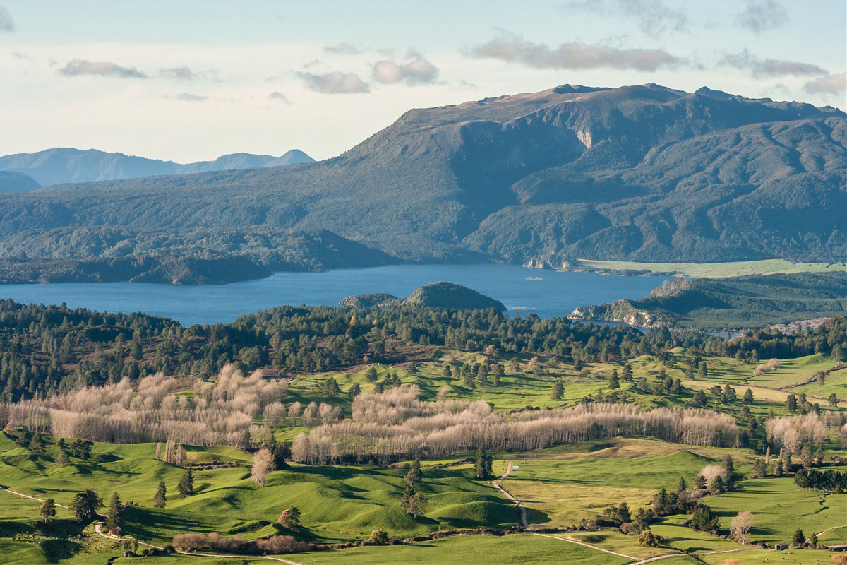 Lake Okaro  -  Rotorua Region - North Island - New Zealand