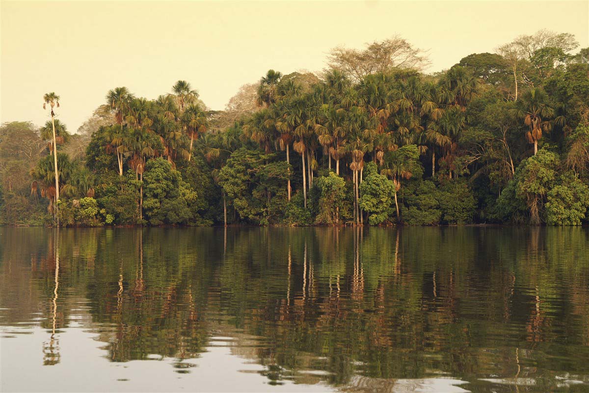 Jungle and river - Peru