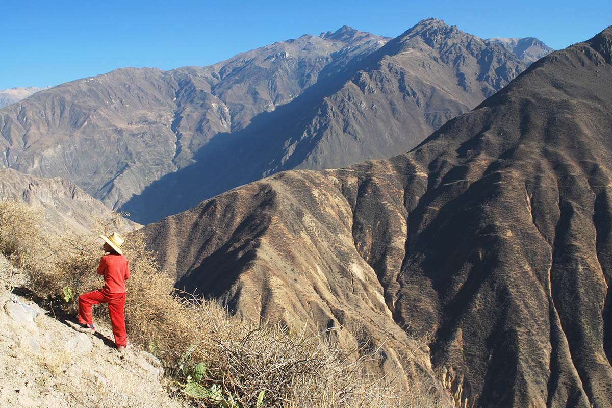 Colca Canyon - Peru
