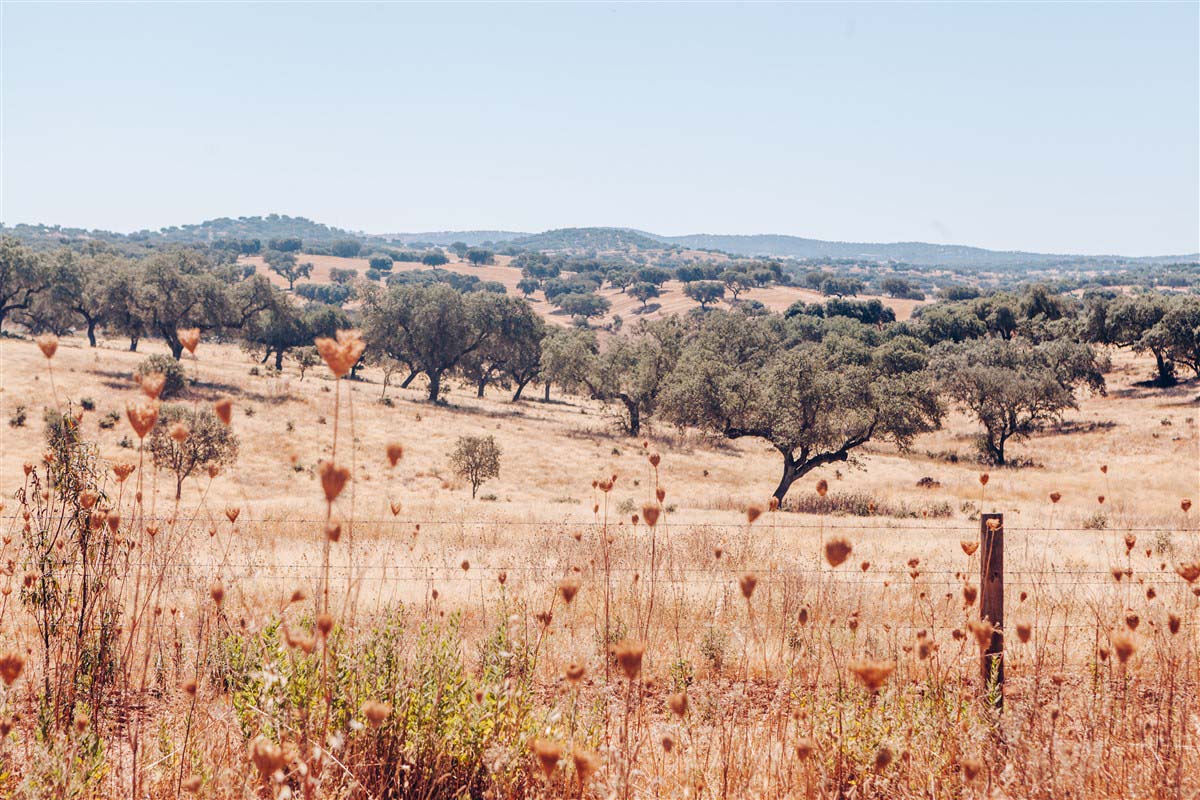 Evora - Alentejo - Portugal