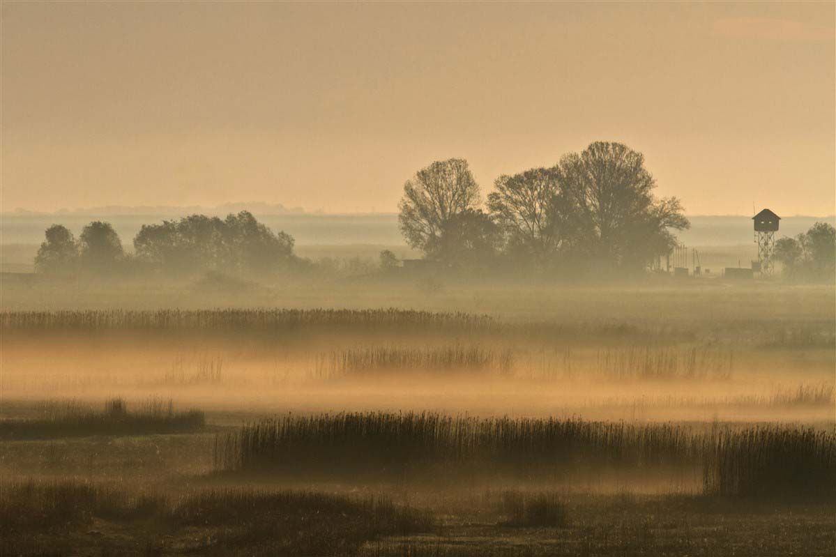 Danube Delta - Romania