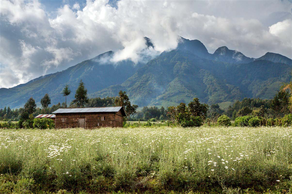 Volcan Sabyinyo - Rwanda