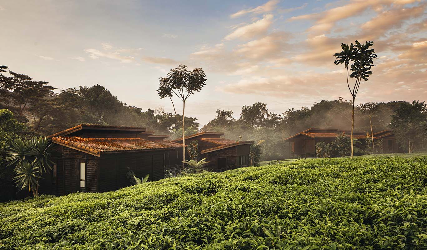 Nyungwe Forest Lodge - Nyungwe - Rwanda