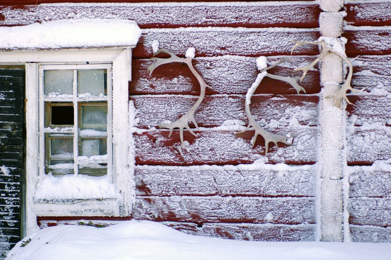 Reindeers Farm - Sweden