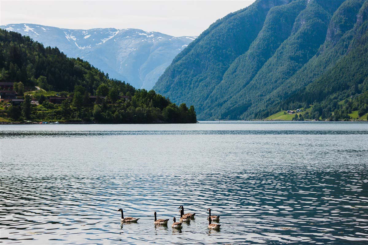 Ulvik - Norway