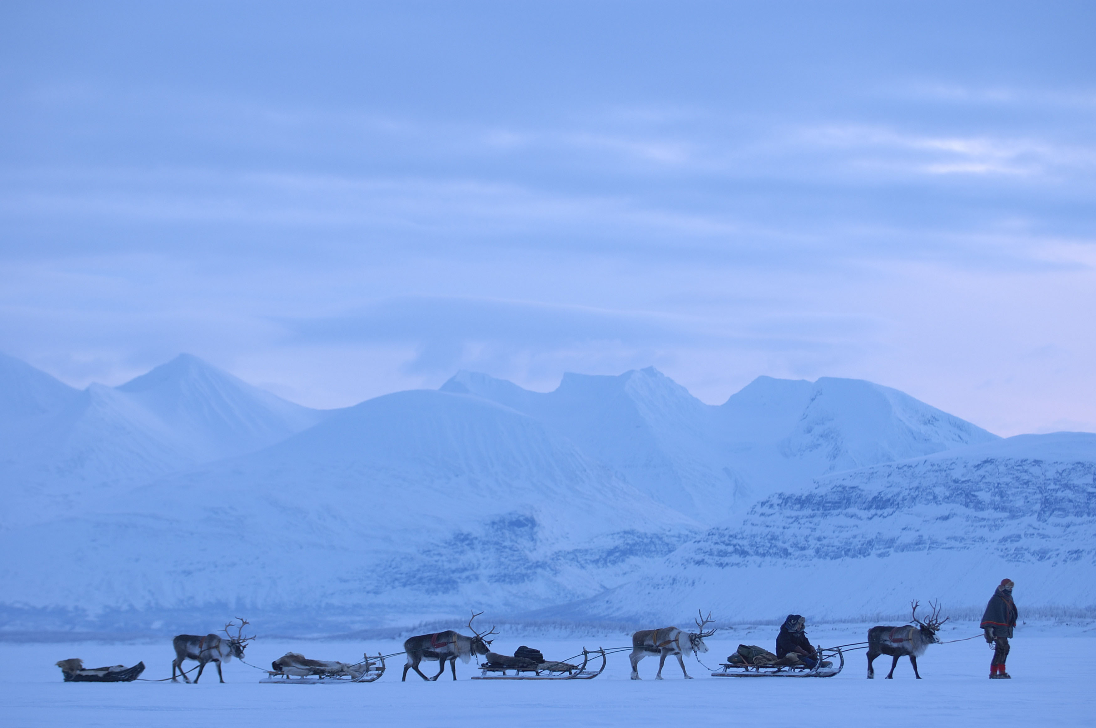 Riding reindeers - Lapland - Sweden