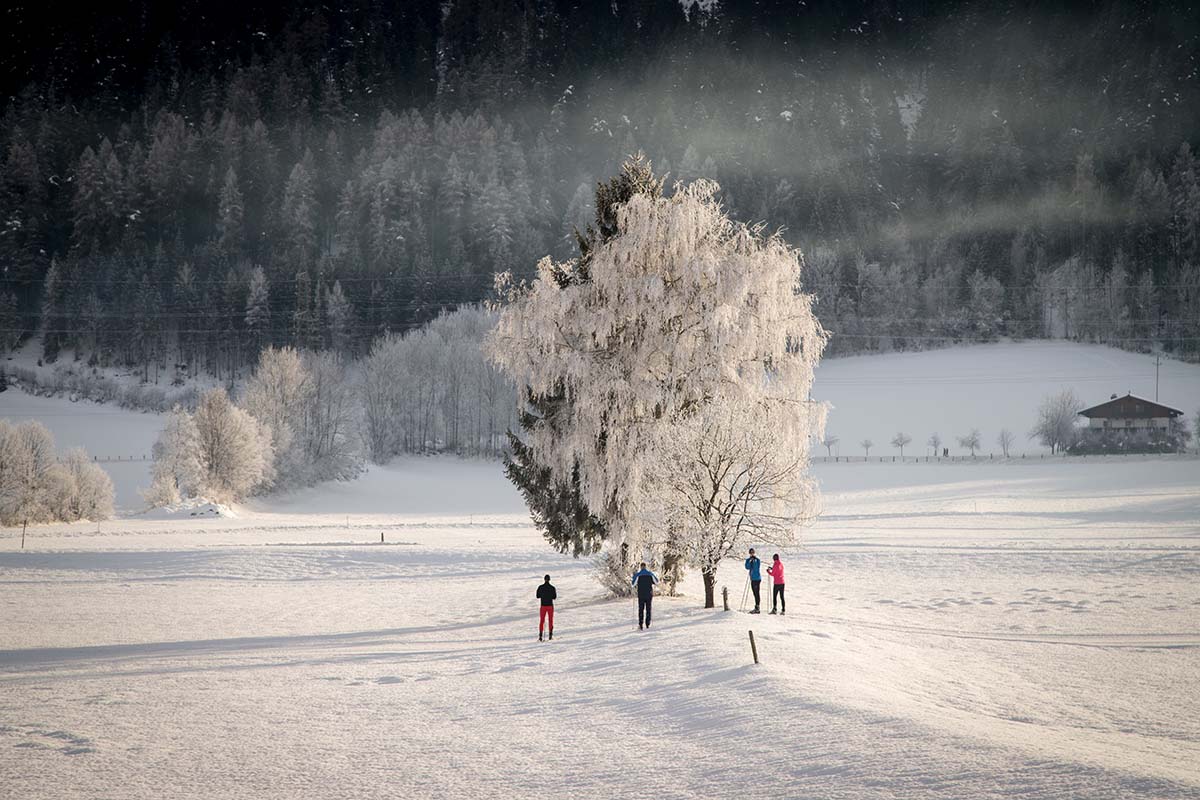 Snowy landscape - Sweden