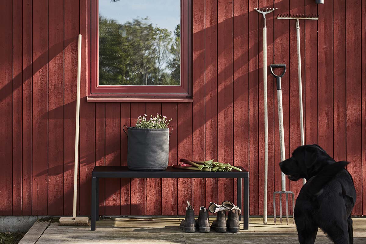 Dog in front a house - Sweden